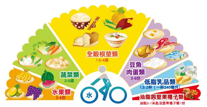 全自动91麻豆成人精品国产免费网站选择