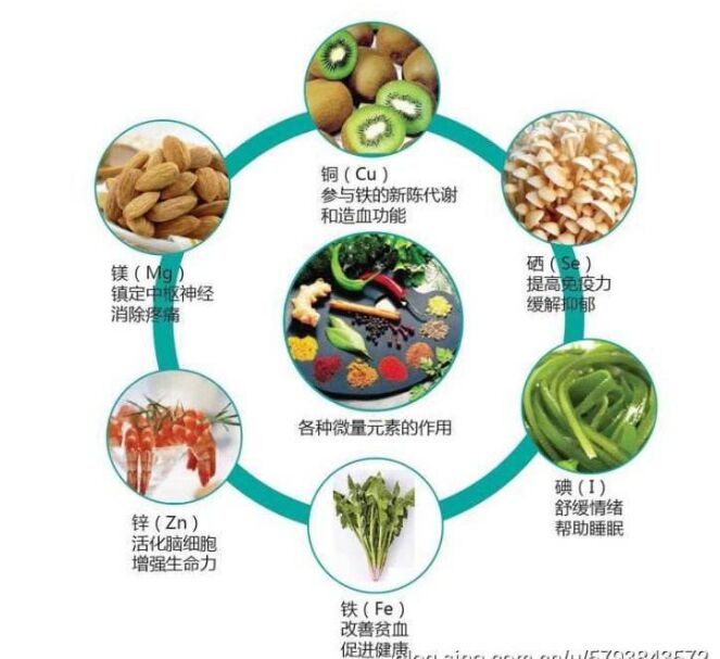 全自动91麻豆成人精品国产免费网站分析头发检测的结果