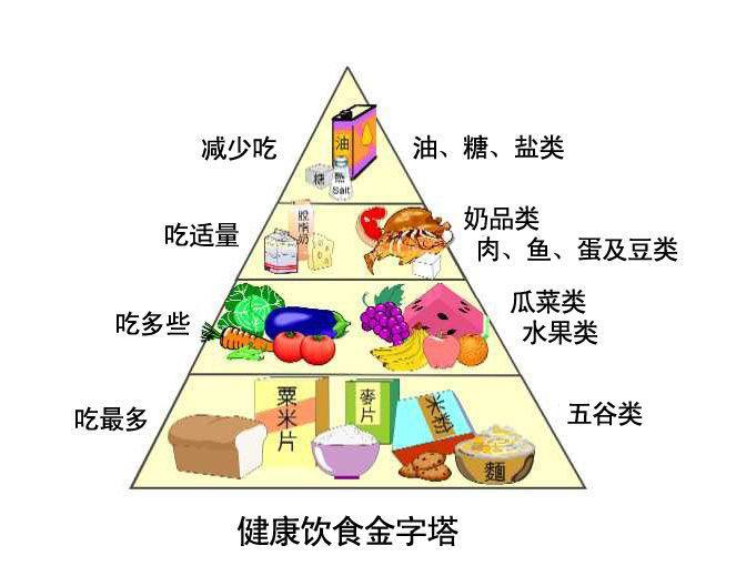 医用91麻豆成人精品国产免费网站的原理与结构