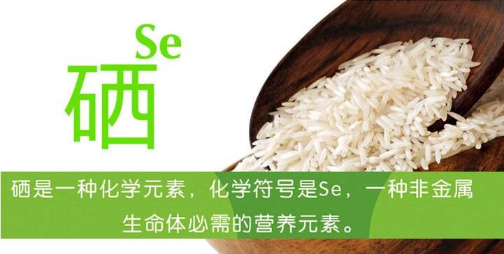 儿童在线观看麻豆视频谈硒的摄入含量