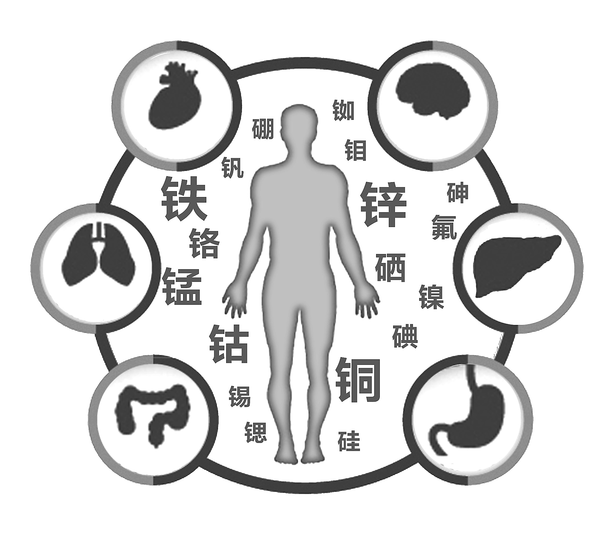 91麻豆成人精品国产免费网站检查有必要吗 91麻豆成人精品国产免费网站检查有必要吗
