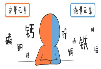 全自动91麻豆成人精品国产免费网站介绍缺少微量元素的危害 全自动91麻豆成人精品国产免费网站介绍缺少微量元素的危害