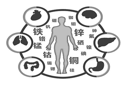 全自动在线观看麻豆视频厂家微量元素在人体中起到哪些作用 全自动在线观看麻豆视频厂家微量元素在人体中起到哪些作用
