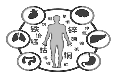 医用在线观看麻豆视频微量元素是什么怎么补 医用在线观看麻豆视频微量元素是什么怎么补