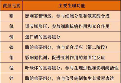 全自动在线观看麻豆视频厂家微量元素的对人体的生理作用 全自动在线观看麻豆视频厂家微量元素的对人体的生理作用