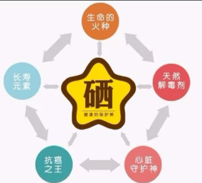 素分析仪,医用91麻豆成人精品国产免费网站,人体微