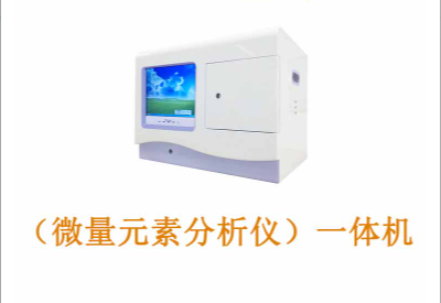在线观看麻豆视频