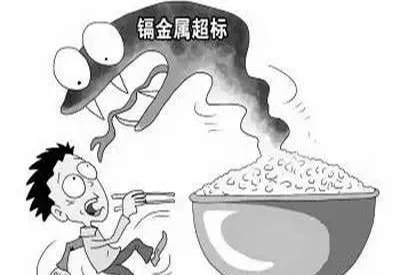 2020/1/4-全自动在线观看麻豆视频-国康-镉元素对人体的作用有哪些 2020/1/4-全自动在线观看麻豆视频-国康-镉元素对人体的作用有哪些